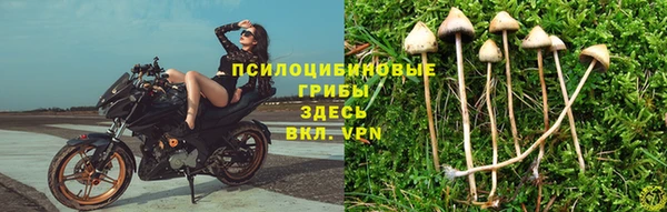 не бодяженный Армянск