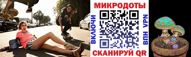 Псилоцибиновые грибы мухоморы  darknet Telegram  Новопавловск 